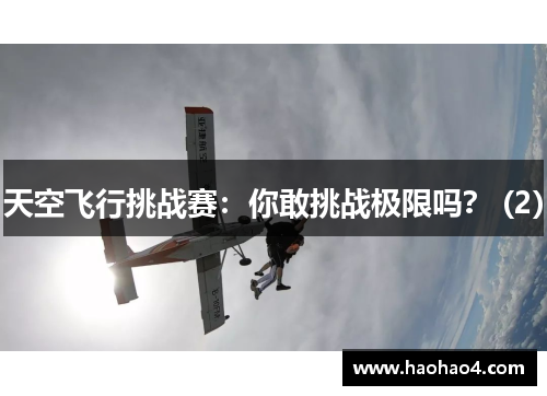天空飞行挑战赛：你敢挑战极限吗？ (2)